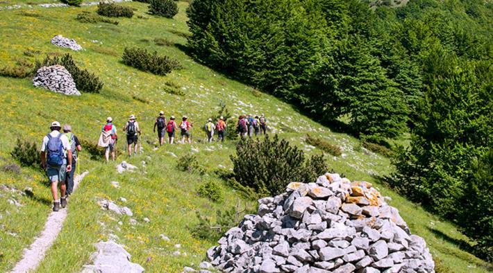 Dolce Risveglio Bed and Breakfast San Valentino in Abruzzo Citeriore Eksteriør billede