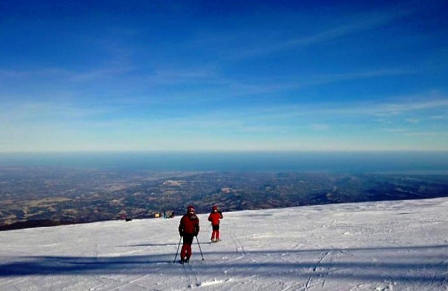 Dolce Risveglio Bed and Breakfast San Valentino in Abruzzo Citeriore Eksteriør billede